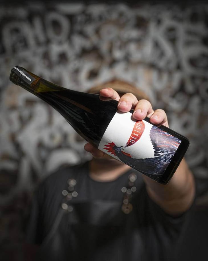Merloq - Il Ceo - Davide Andreatta 