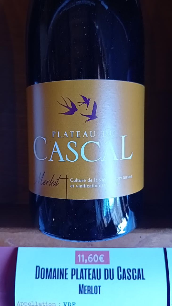 Merlot - Plateau Du Cascal - Sofi Bataillard et Julien Veyret 