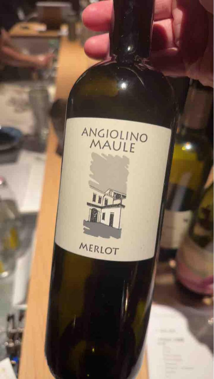 Merlot - Azienda Agricola La Biancara - Angiolino Maule 