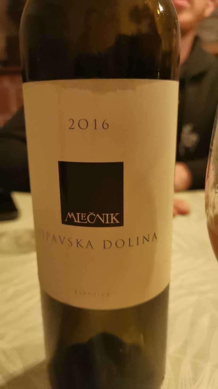 Merlot - Organic farm Mlečnik - Mlečnik Valter and Klemen 