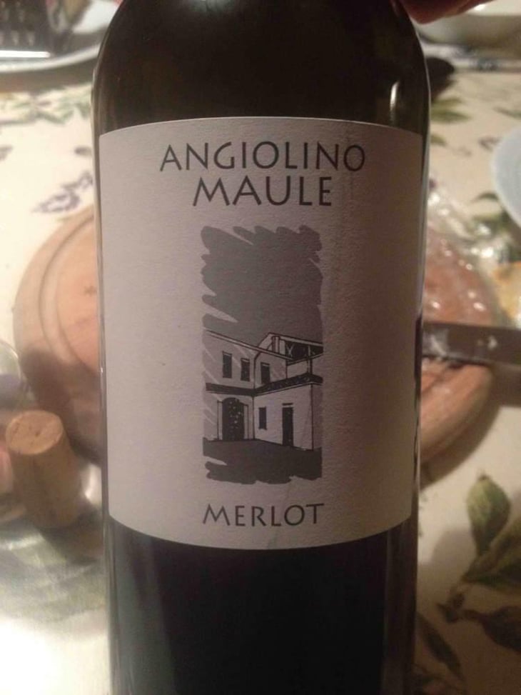 Merlot - Azienda Agricola La Biancara - Angiolino Maule 