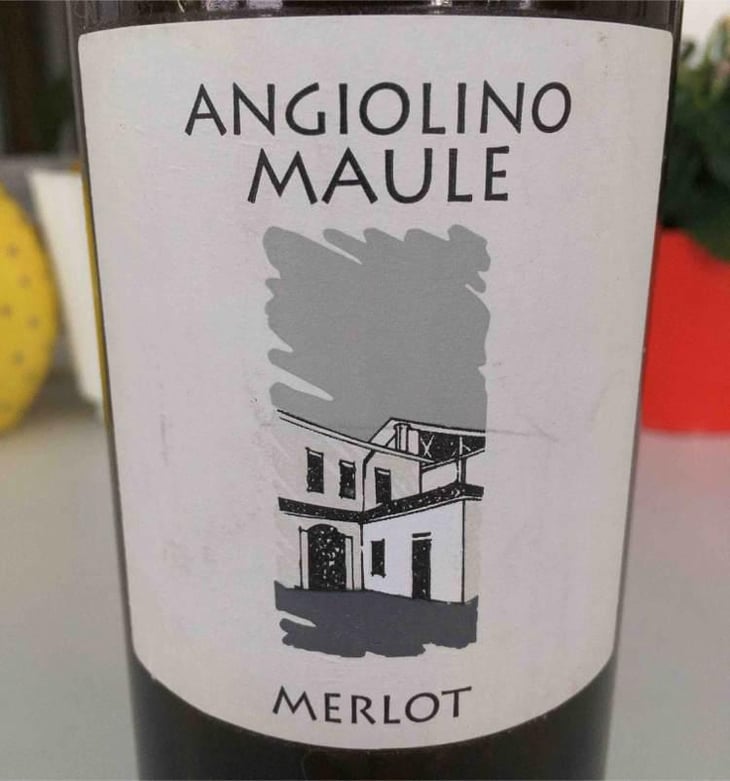 Merlot - Azienda Agricola La Biancara - Angiolino Maule 
