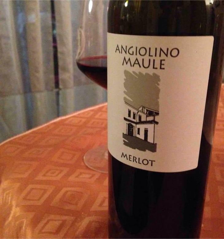 Merlot - Azienda Agricola La Biancara - Angiolino Maule 