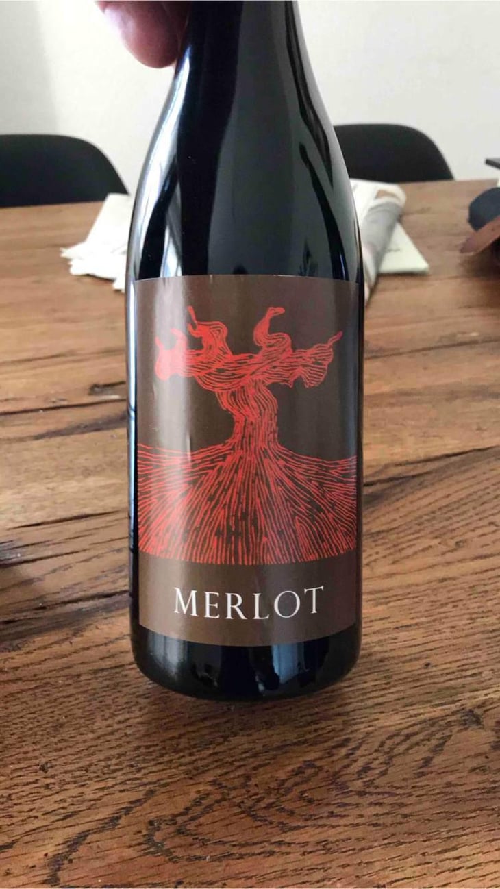 Merlot - Weingut Bianka und Daniel Schmitt - Daniel & Bianka Schmitt 
