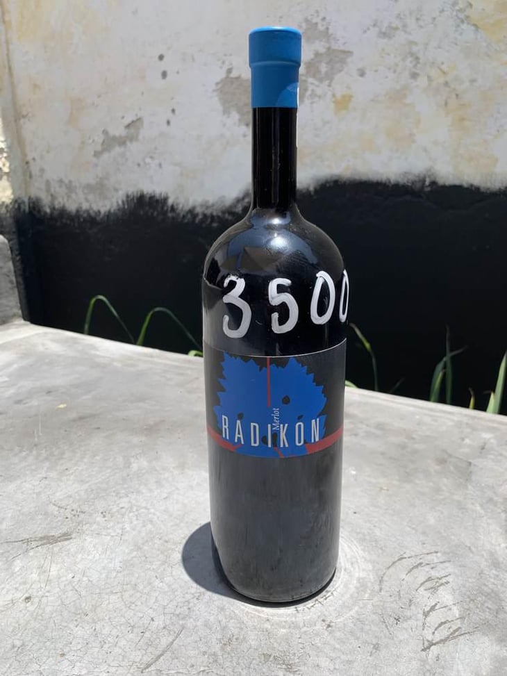 Merlot - Radikon - Famiglia Radikon 