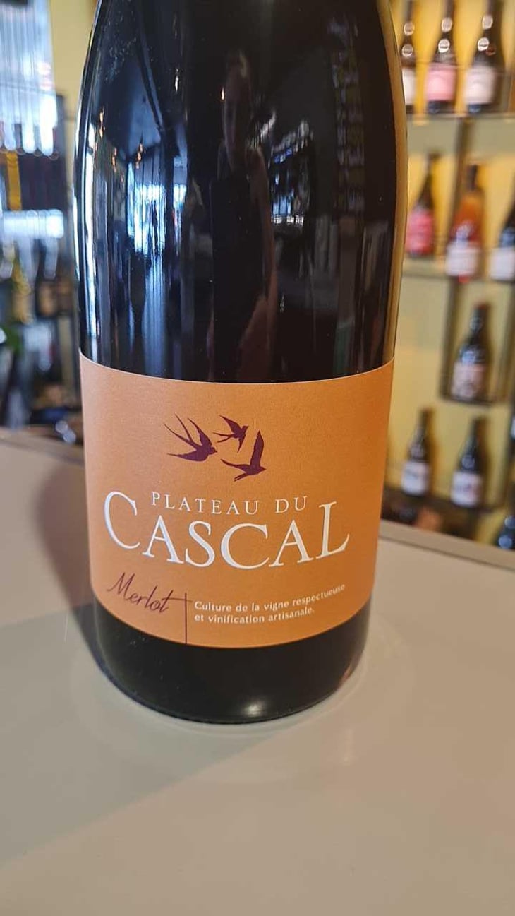 Merlot - Plateau Du Cascal - Sofi Bataillard et Julien Veyret 