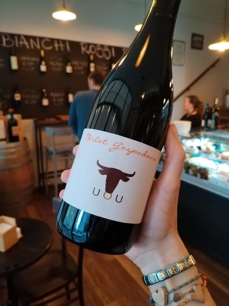 Merlot Gospodovo - Marinko Pintar - Marinko Pintar -2019