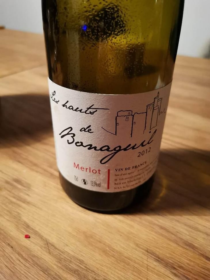 Merlot - Domaine de Bonaguil - Barbora et Daniel Donath 