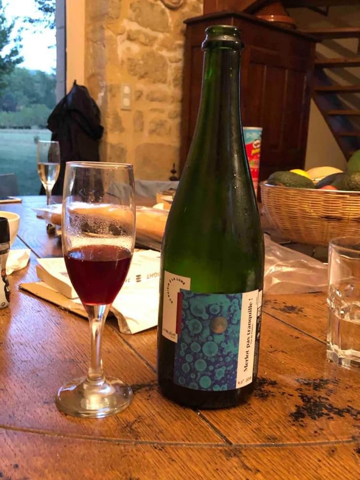 Merlot Pas Tranquille ! - AntocyÂme - Muriel Zoldan 