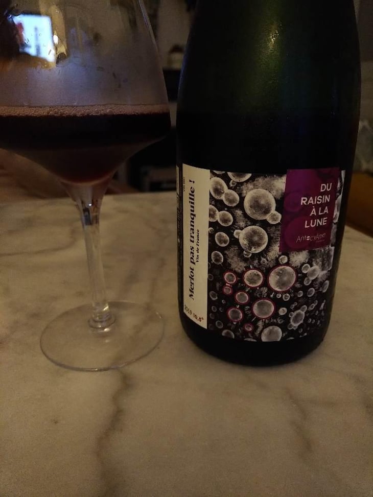 Merlot Pas Tranquille ! - AntocyÂme - Muriel Zoldan 