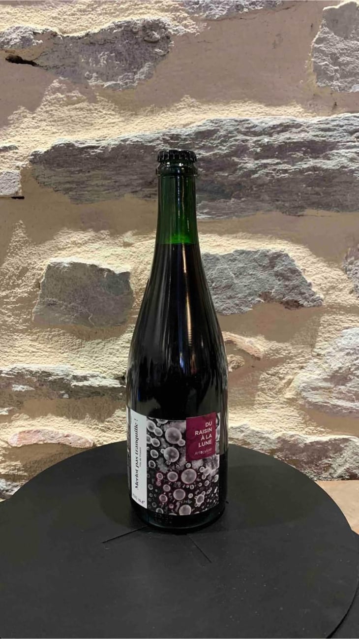 Merlot Pas Tranquille ! - AntocyÂme - Muriel Zoldan 