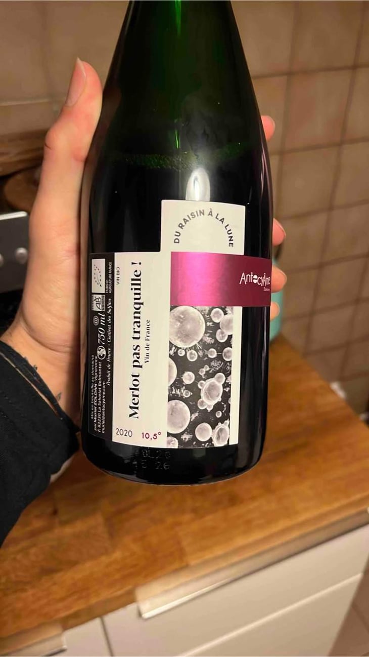 Merlot Pas Tranquille ! - AntocyÂme - Muriel Zoldan 