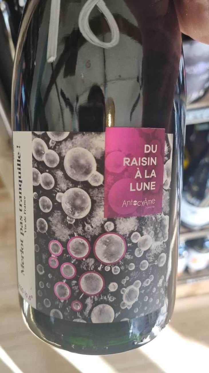 Merlot Pas Tranquille ! - AntocyÂme - Muriel Zoldan 