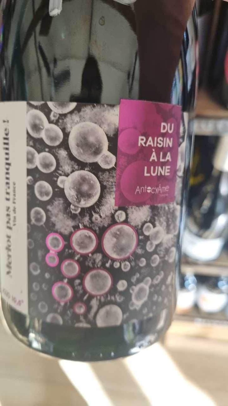 Merlot Pas Tranquille ! - AntocyÂme - Muriel Zoldan 
