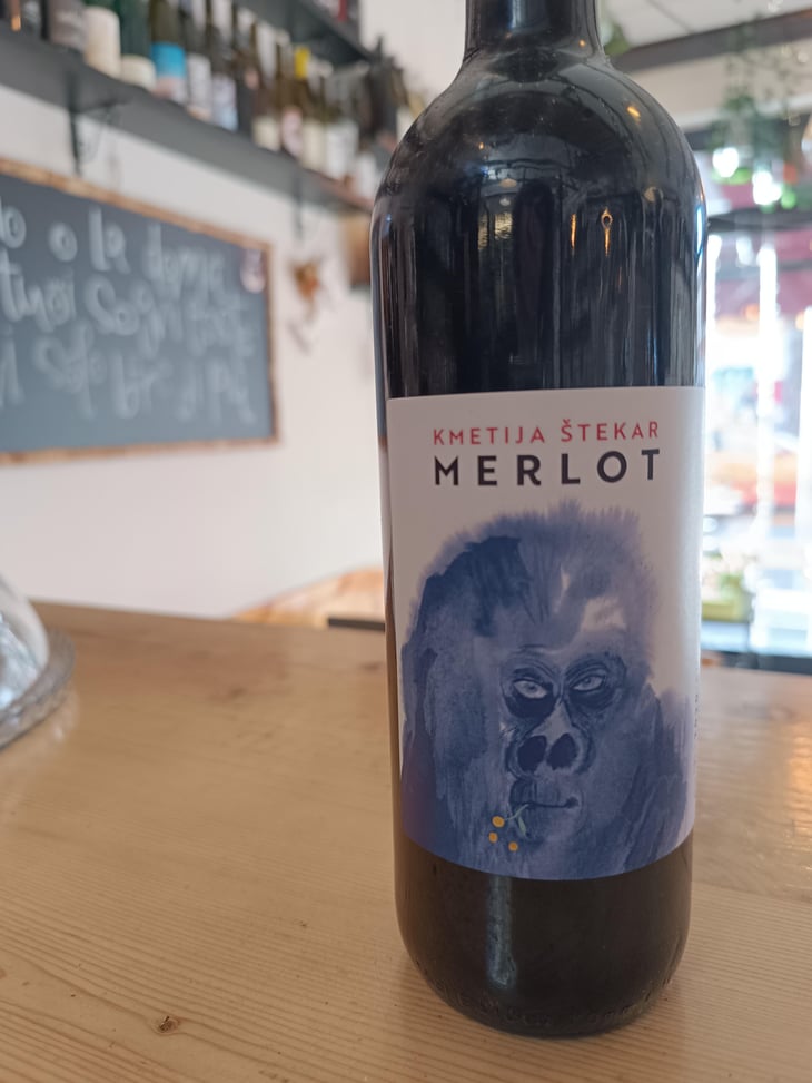 Merlot - Kmetija Štekar - Janko Štekar -2020