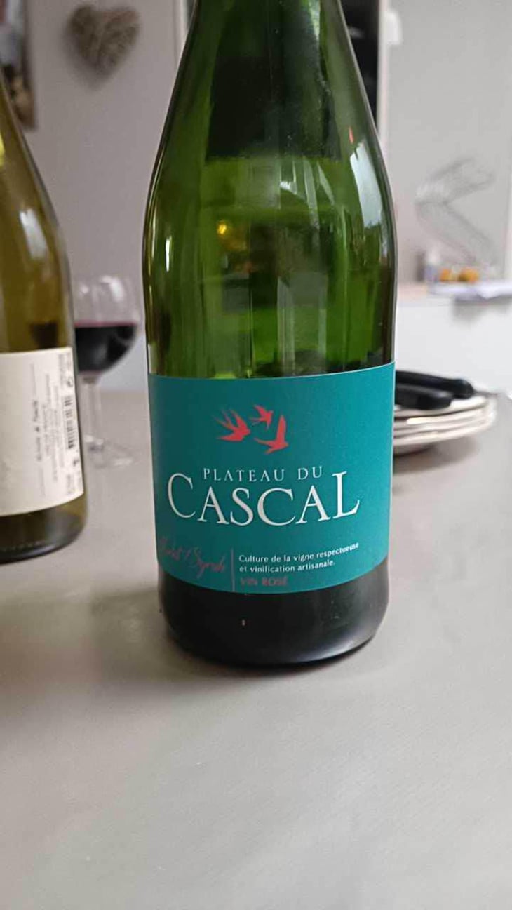 Merlot - Plateau Du Cascal - Sofi Bataillard et Julien Veyret 