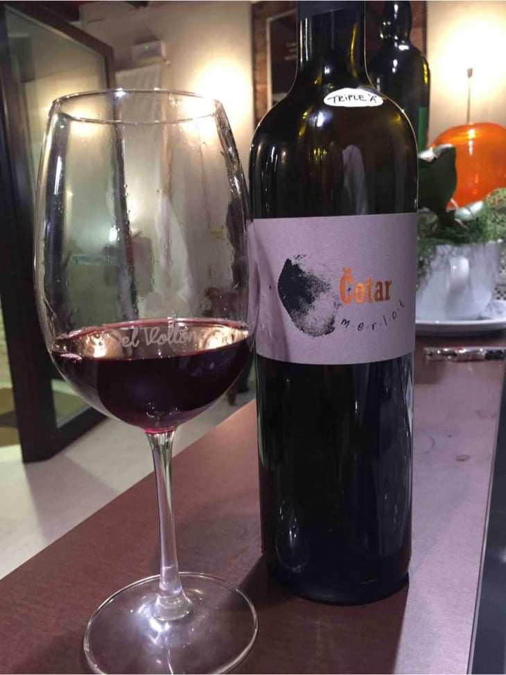 Merlot - Čotar - Branko & Vasja Čotar 