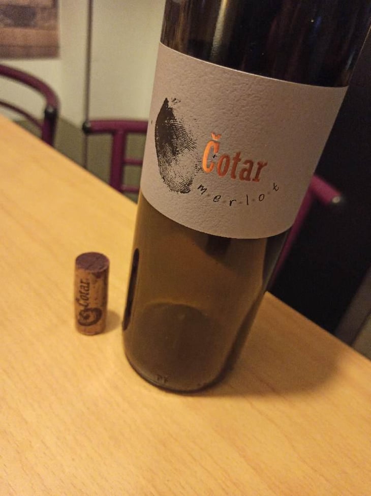 Merlot - Čotar - Branko & Vasja Čotar 