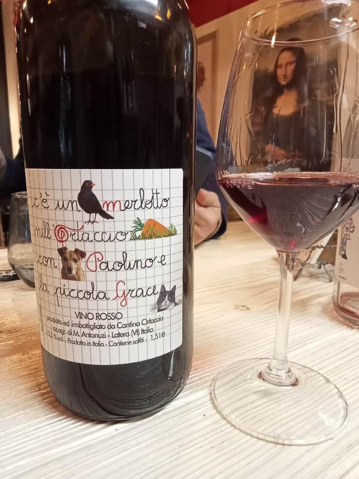 Merlotto - Cantina Ortaccio - Massimo Antonuzi & Patrizia Montanari -2021