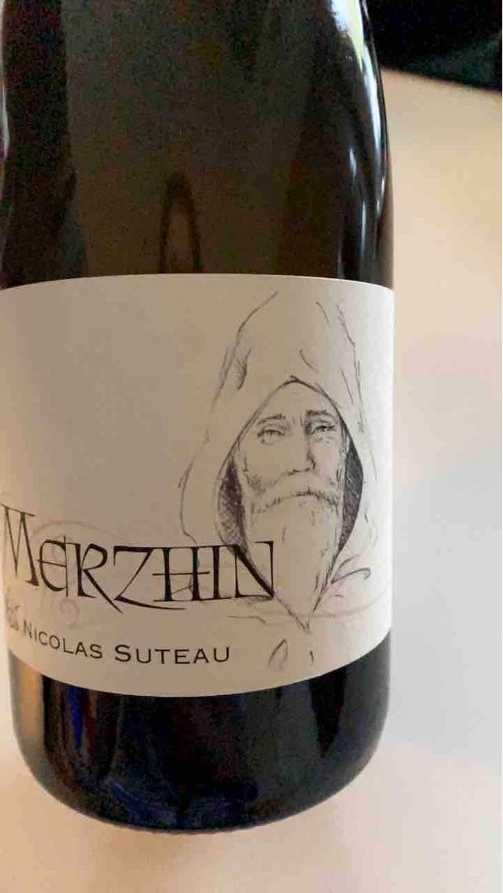 Merzhin - Nicolas Suteau - Nicolas Suteau 