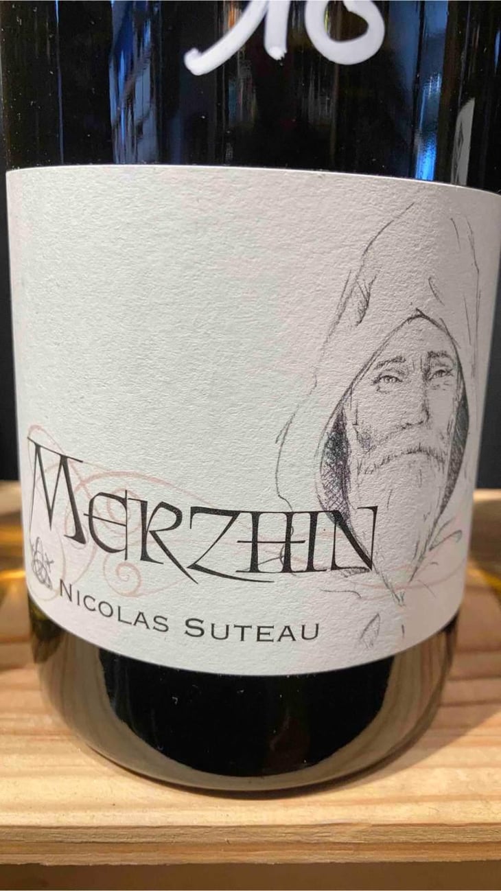 Merzhin - Nicolas Suteau - Nicolas Suteau 