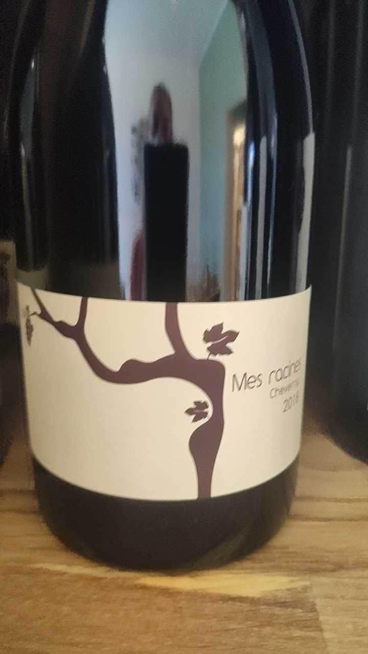 Mes Racines - Domaine de Montcy - Vincent Hayer 