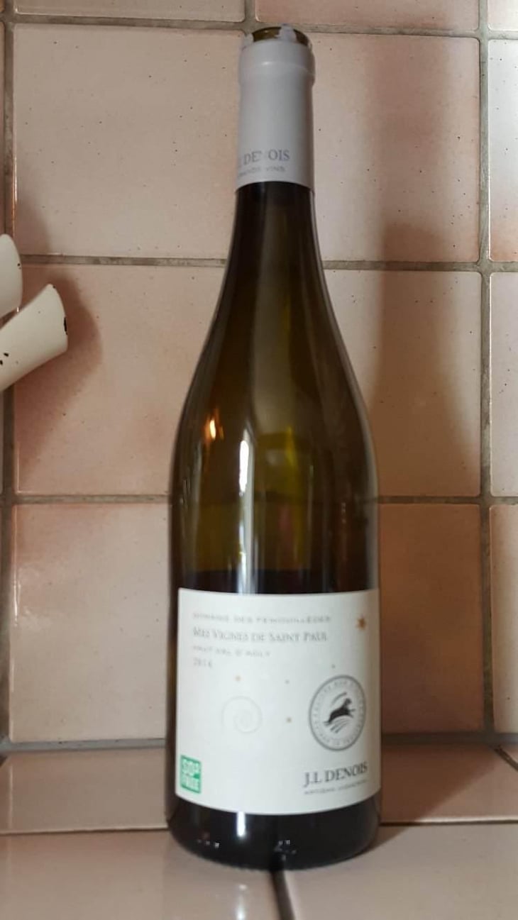 Mes Vignes De Saint Paul - Domaine Des Fenouillèdes - Jean-Louis Denois 
