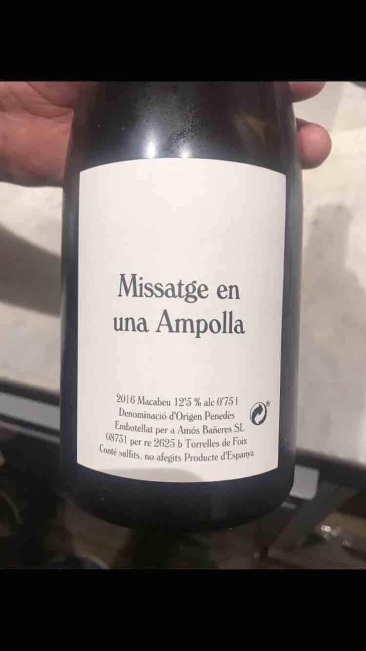 Missatge en una Ampolla - Vinya Oculta - Amós Bañeres 
