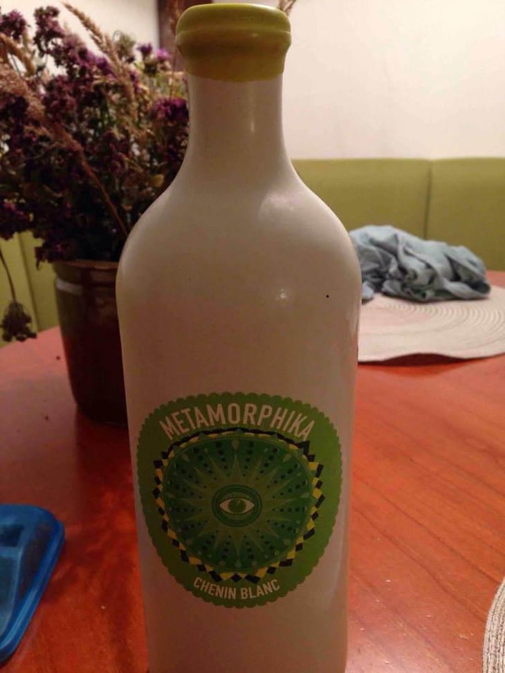 Metamorphika Macabeu Brisat - Costador Terroirs Mediterranis - Joan Franquet 