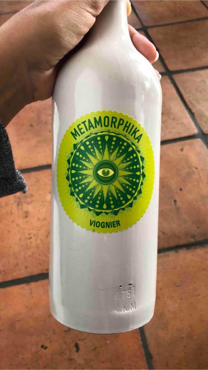 Metamorphika Macabeu Brisat - Costador Terroirs Mediterranis - Joan Franquet 