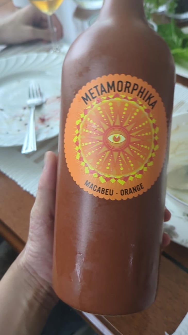 Metamorphika Macabeu Orange - Costador Terroirs Mediterranis - Joan Franquet 