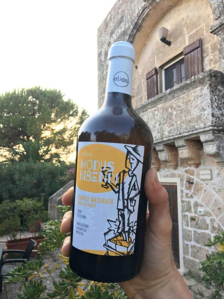 Modus Bibendi Macerato - Elios - Nicola Adamo & Guido Grillo 