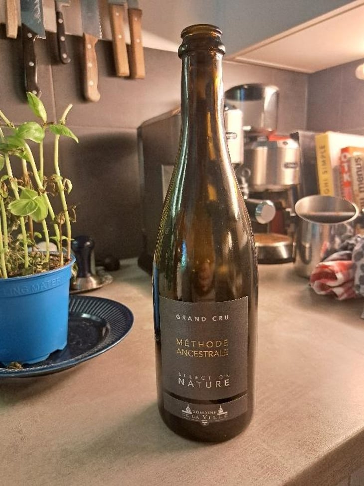 Méthode Ancestrale - Domaine de la Ville de Morges - Julien Pasche 