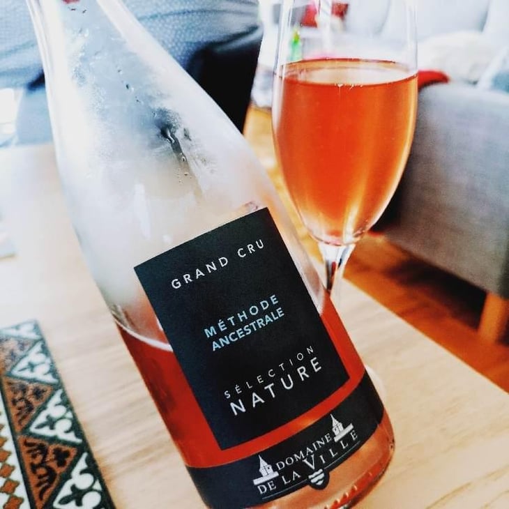 Méthode Ancestrale - Domaine de la Ville de Morges - Julien Pasche 
