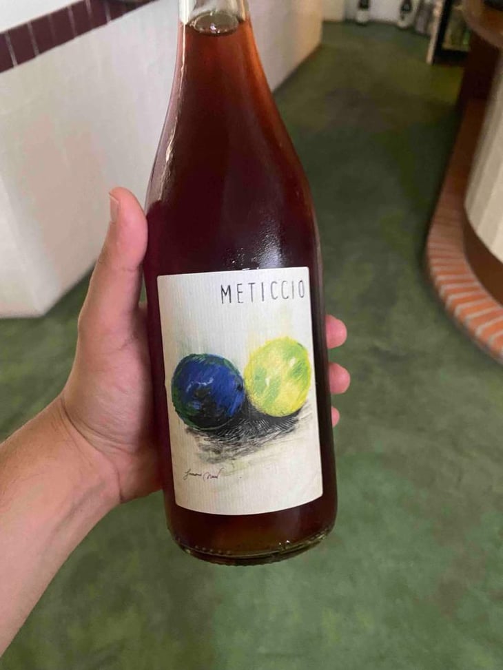 Meticcio - La Distesa - Corrado Dottori 