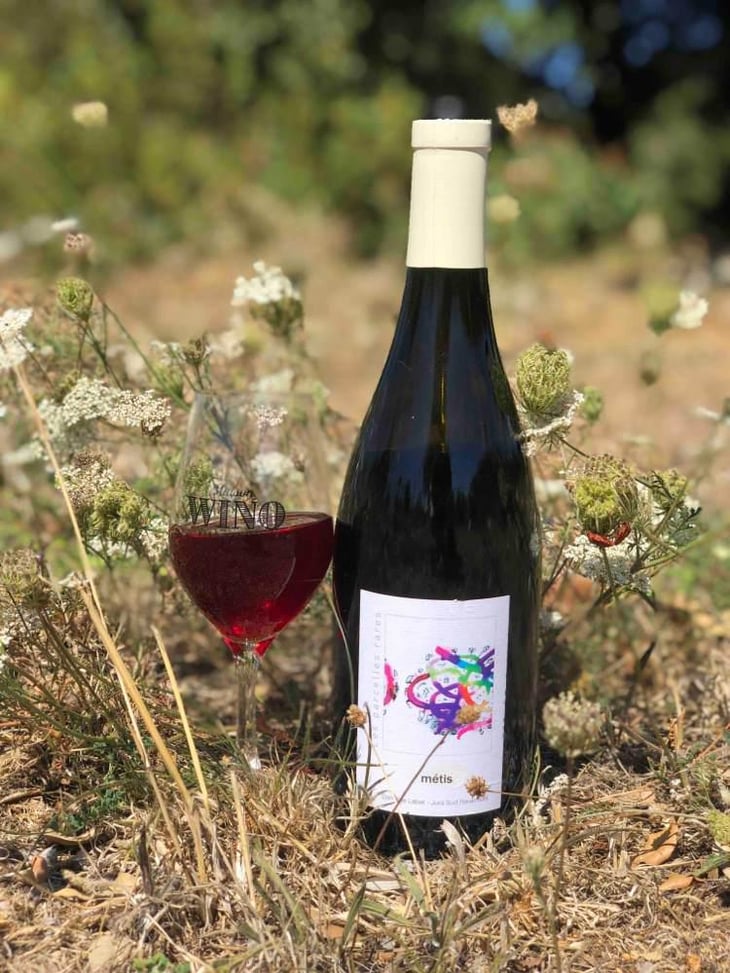 Les Parcelles Rares - Métis - Domaine Labet - Julien, Charline & Romain Labet 