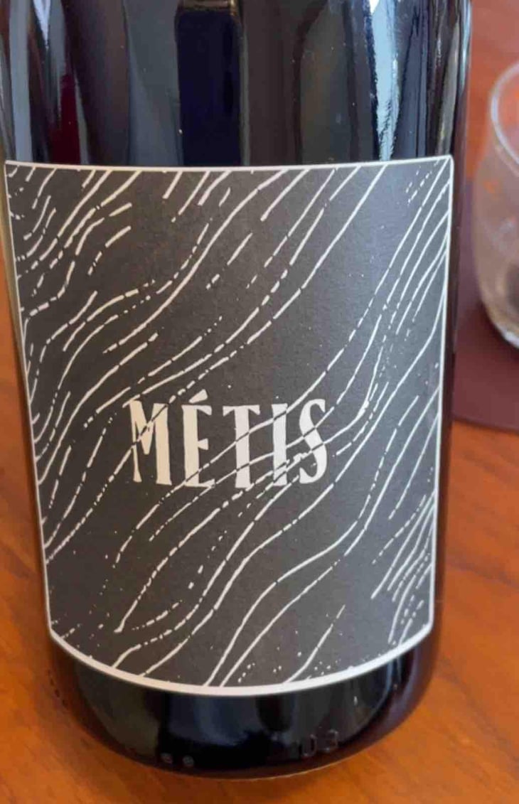 Metis - l’Abri - Franck Pasquier -20