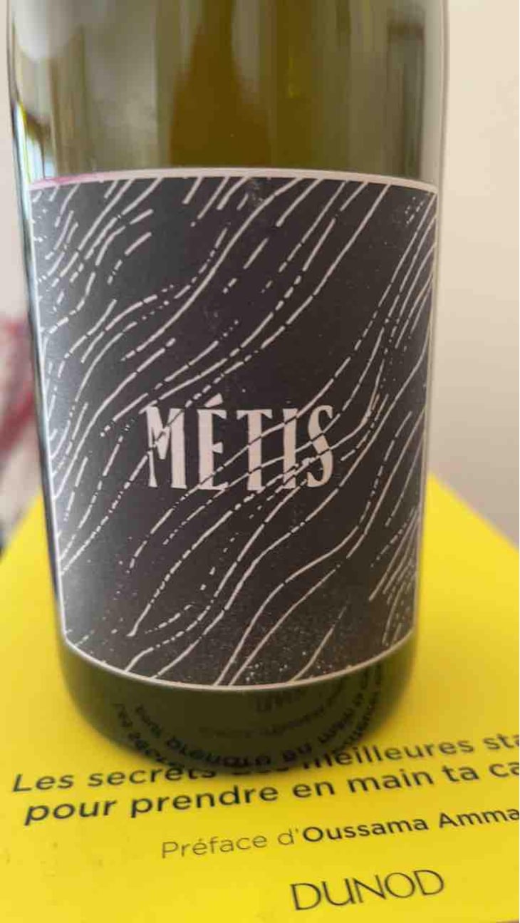 Metis - l’Abri - Franck Pasquier -20