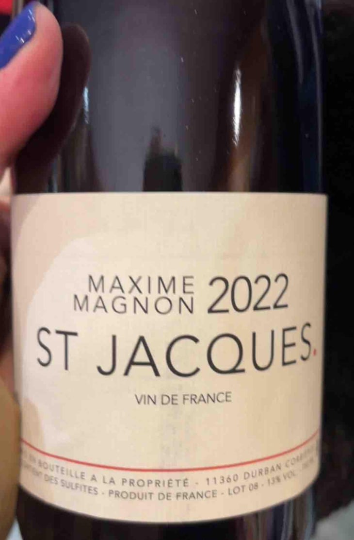 Métisse - Maxime Magnon - Maxime Magnon 