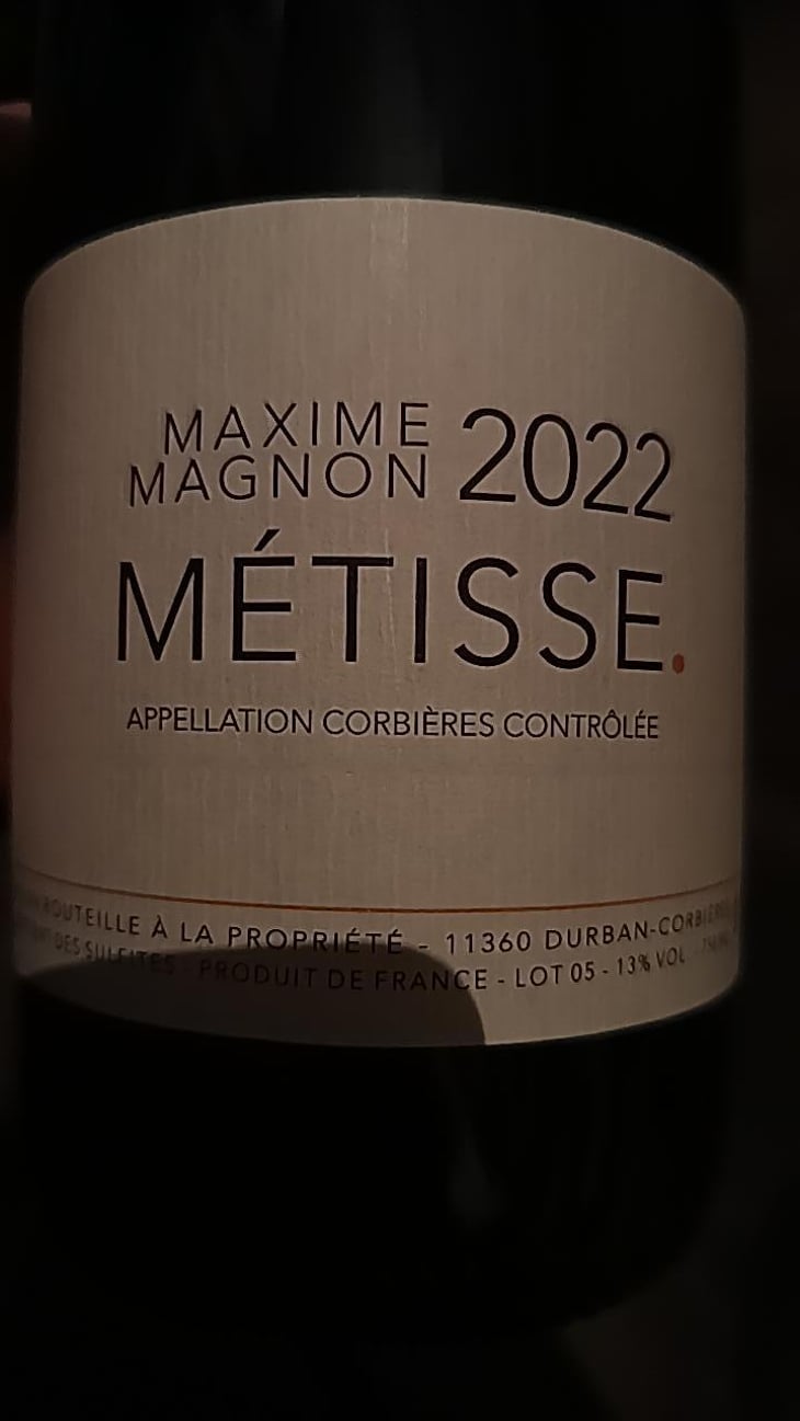 Métisse - Maxime Magnon - Maxime Magnon 