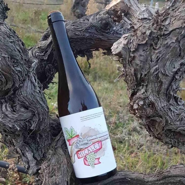 Micalet - Celler Ca Foracaime - Sergi Serrano 