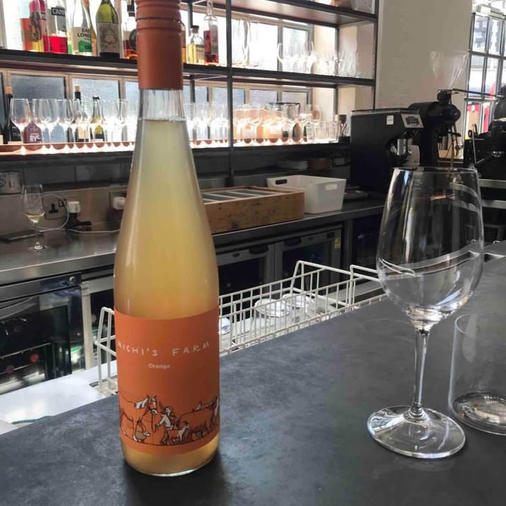 Michi's Farm Orange - MG vom Sol - Michael Gindl -2022