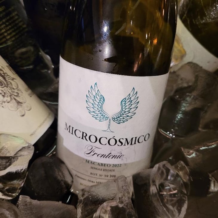 Frontonio Macabeo - Frontonio Garage Wines - Fernando Mora -2022