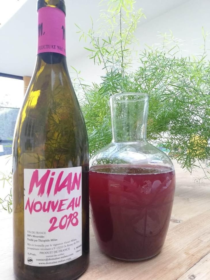 Milan Nouveau - Domaine Milan - Emma, Théophile & Henri Milan 