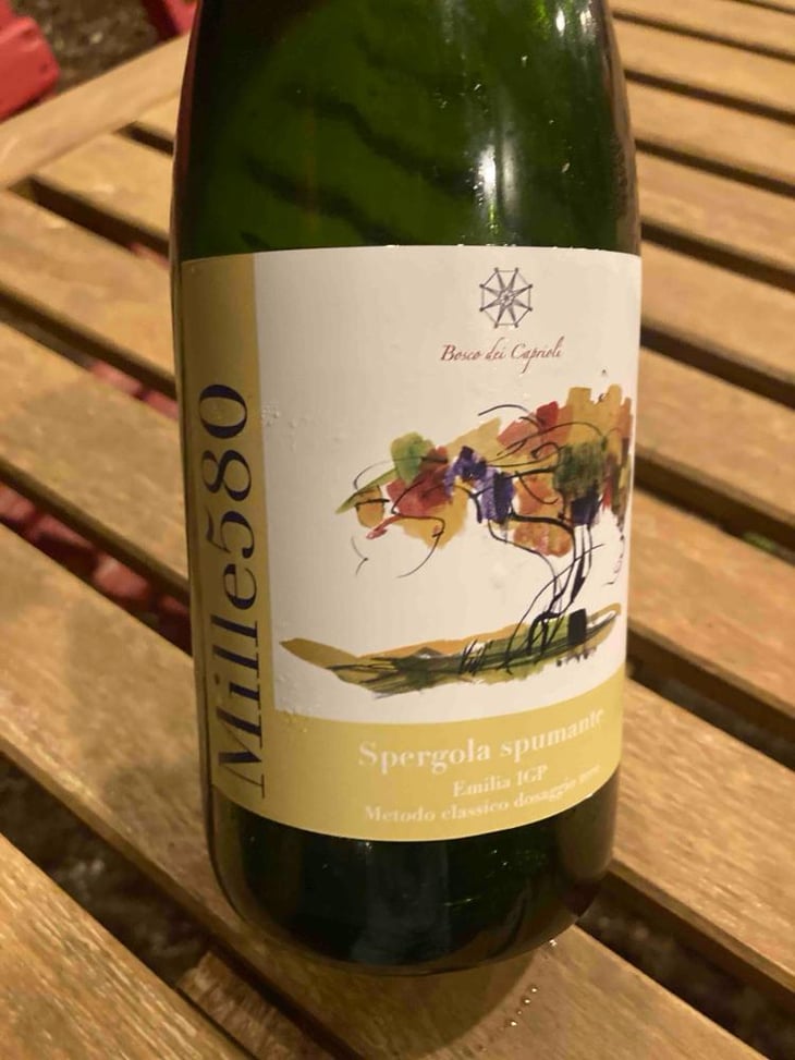 Mille580 - Bosco dei Caprioli - Andrea Iori -2021