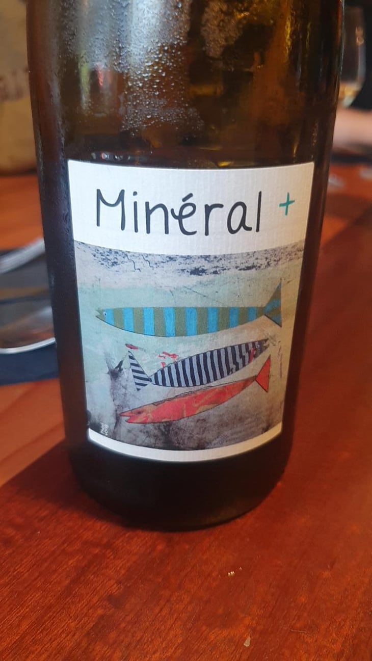 Mineral + - Un Saumon Dans la Loire - Marie Thibault & Frantz Saumon 