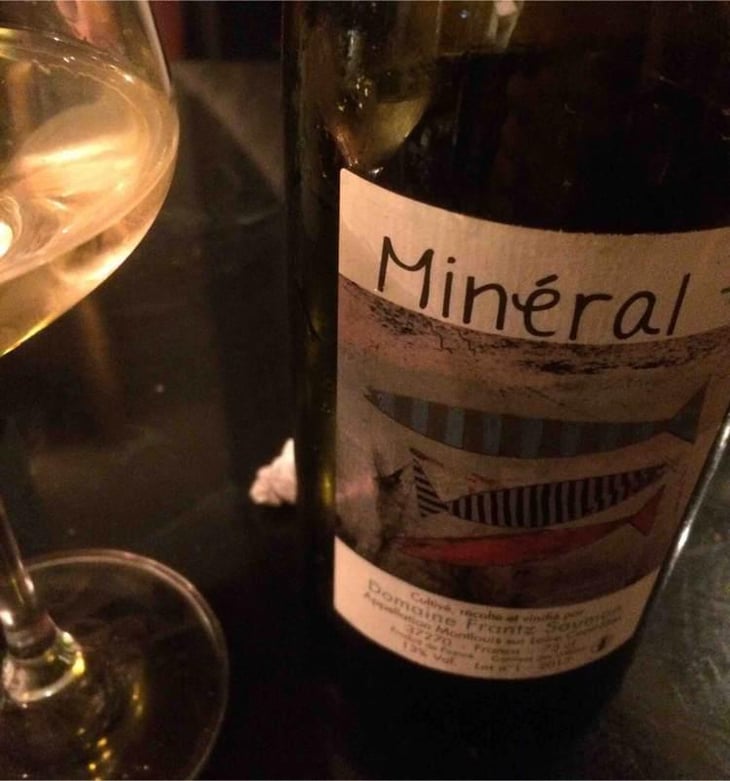 Mineral + - Un Saumon Dans la Loire - Marie Thibault & Frantz Saumon 