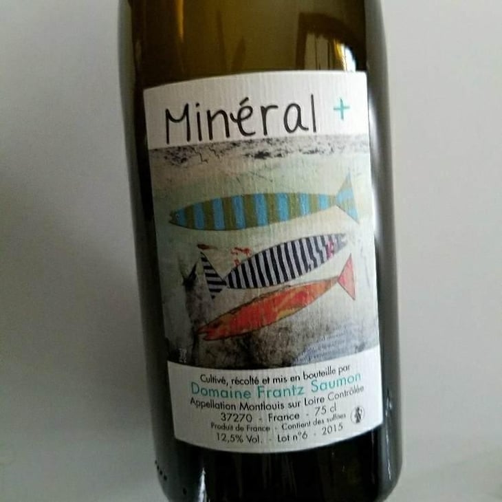 Mineral + - Un Saumon Dans la Loire - Marie Thibault & Frantz Saumon 