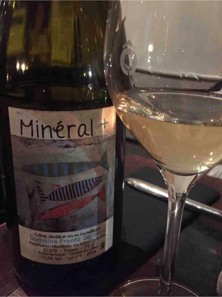 Mineral + - Un Saumon Dans la Loire - Marie Thibault & Frantz Saumon 