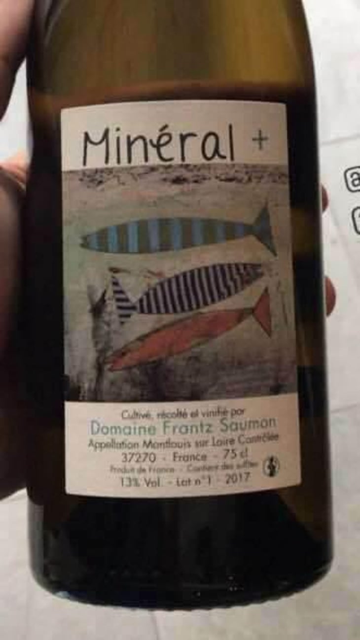 Mineral + - Un Saumon Dans la Loire - Marie Thibault & Frantz Saumon 